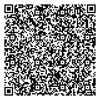 vCard 79993503315