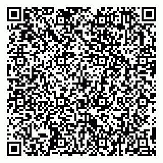 vCard 79993503320