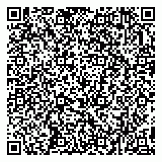 vCard 79993503331