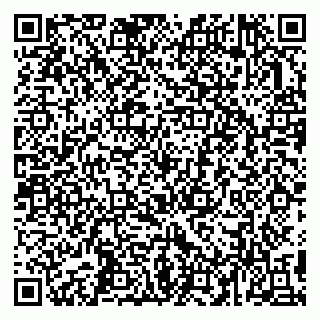 vCard 79993503333
