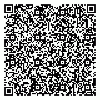 vCard 79993503334