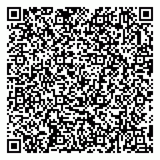 vCard 79993503336