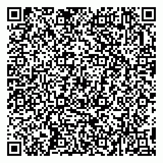 vCard 79993503337