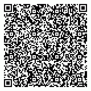 vCard 79993503355