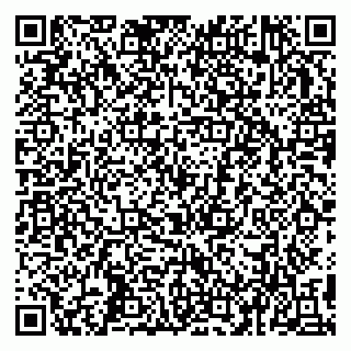 vCard 79993503363