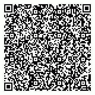 vCard 79993503369