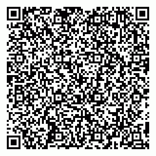 vCard 79993503380