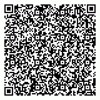 vCard 79993503387