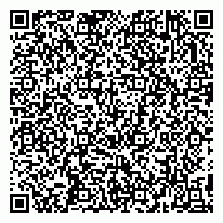 vCard 79993503393