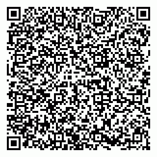 vCard 79993670336