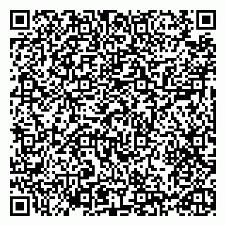 vCard 79993730001