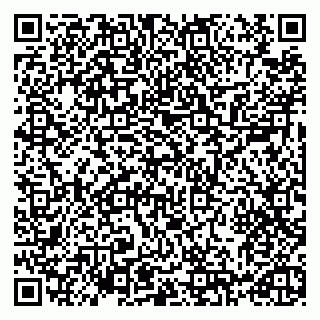 vCard 79993730002