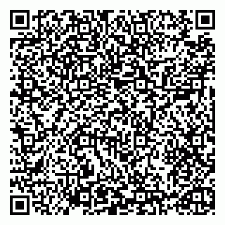 vCard 79993730003