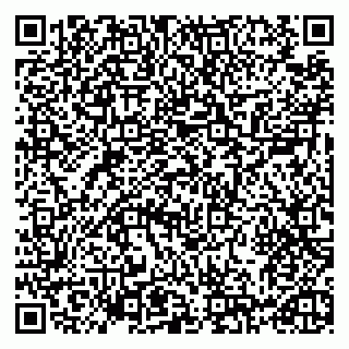 vCard 79993730004
