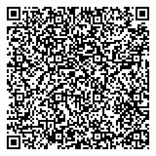 vCard 79993730005