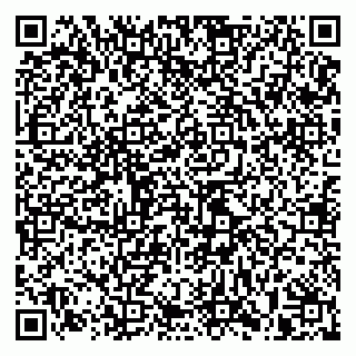 vCard 79993730009