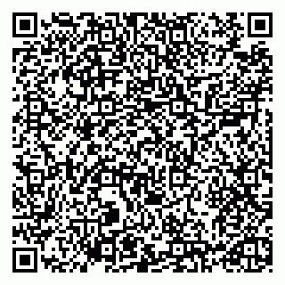 vCard 79993730011