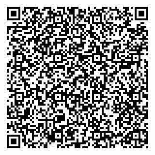 vCard 79993730013