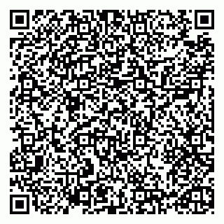 vCard 79993730017