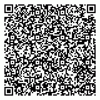 vCard 79993730020