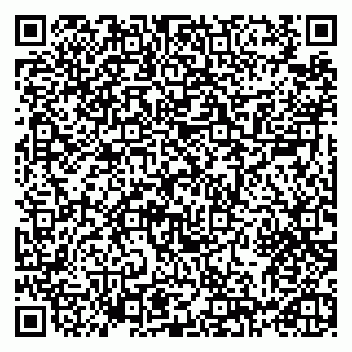 vCard 79993730026