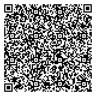 vCard 79993730027