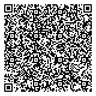 vCard 79993730029