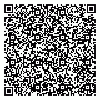 vCard 79993730031