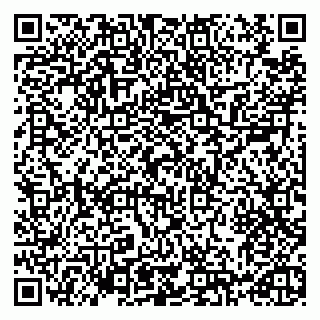 vCard 79993730032