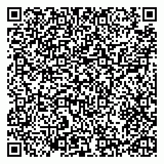 vCard 79993730033