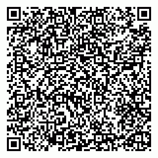vCard 79993730037
