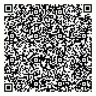 vCard 79993730040