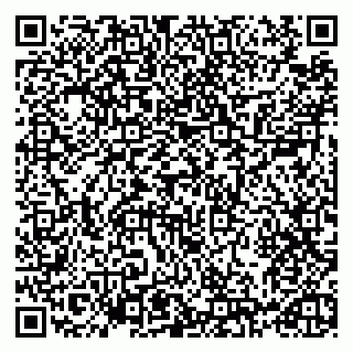 vCard 79993730041