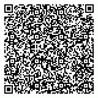 vCard 79993730046