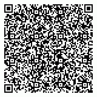 vCard 79993730048
