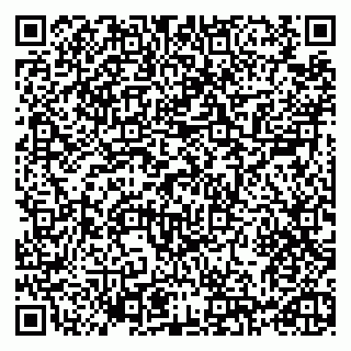 vCard 79993730060