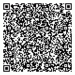 vCard 79993730063