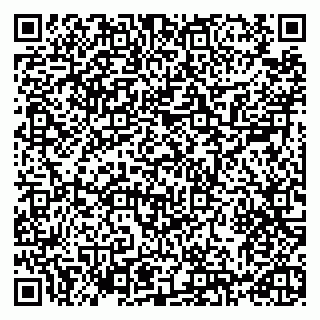 vCard 79993730065