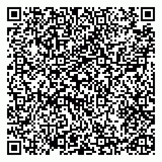 vCard 79993730066