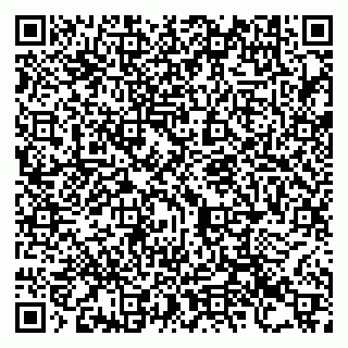 vCard 79993730068