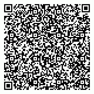 vCard 79993730069
