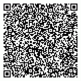 vCard 79993730070