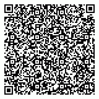 vCard 79993730081