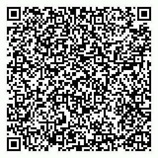vCard 79993730085