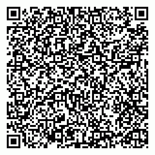 vCard 79993730087