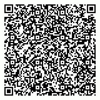 vCard 79993730090