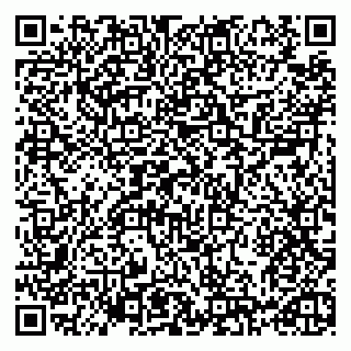 vCard 79993730091
