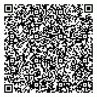 vCard 79993730093