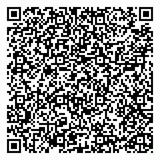 vCard 79993730095