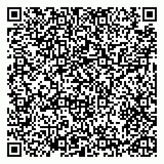 vCard 79993730100